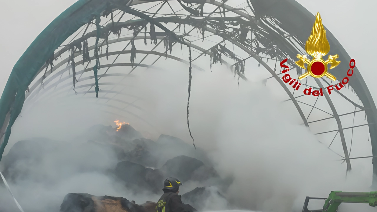 Gavirate, a fuoco 750 involti, distrutto il capannone. Il sindaco: "Nessun problema per la salute" Gavirate, a fuoco 750 involti, distrutto il capannone. Il sindaco: "Nessun problema per la salute"