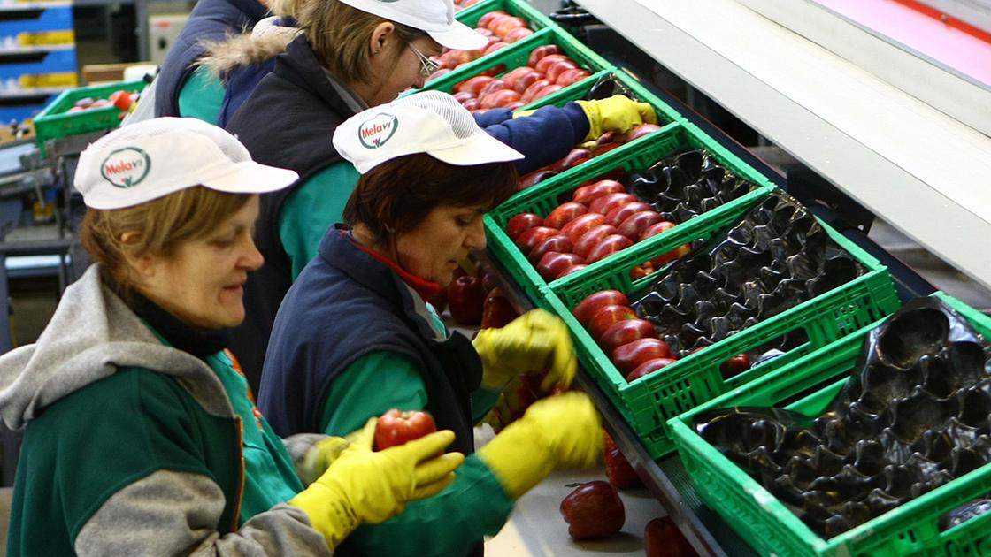 Melavì ai titoli di coda. Piano per il concordato Melavì ai titoli di coda. Piano per il concordato