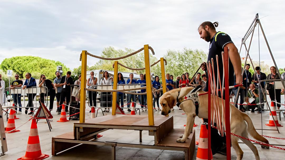 Festa del bene, è il Limbiate Day. I cani guida Lions per i ciechi: "Ecco come li addestriamo" Festa del bene, è il Limbiate Day. I cani guida Lions per i ciechi: "Ecco come li addestriamo"