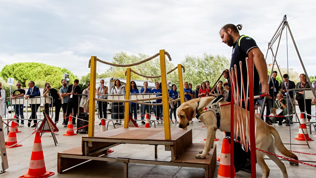 L’evento organizzato dallo storico centro per far conoscere l’attività di un’eccellenza europea. Dimostrazioni e sfilate per scoprire da vicino il percorso che trasforma un cucciolo in un aiuto. L’evento organizzato dallo storico centro per far conoscere l’attività di un’eccellenza europea. Dimostrazioni e sfilate per scoprire da vicino il percorso che trasforma un cucciolo in un aiuto.