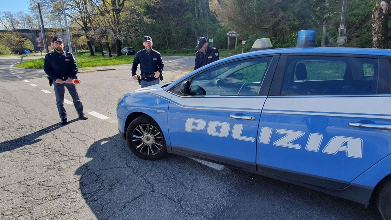 Blitz nei boschi della droga. Smantellata una base