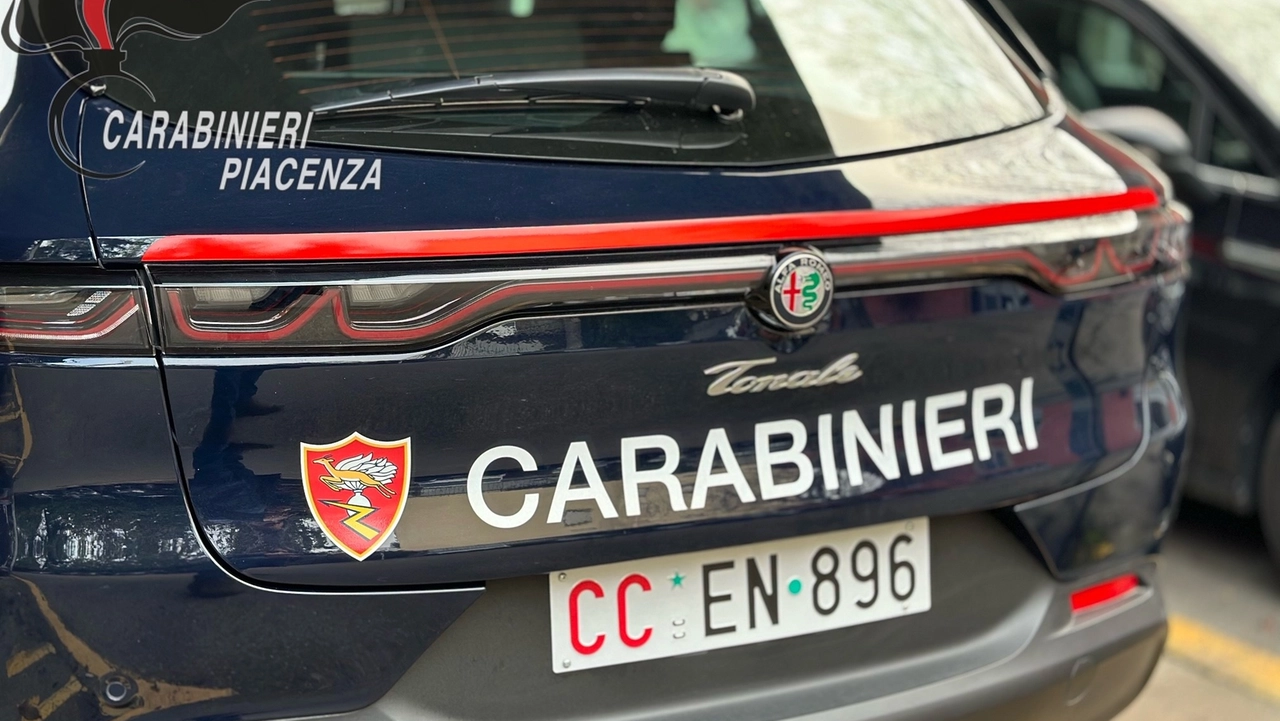 Sono intervenuti i carabinieri di Borgonovo Val Tidone Sono intervenuti i carabinieri di Borgonovo Val Tidone