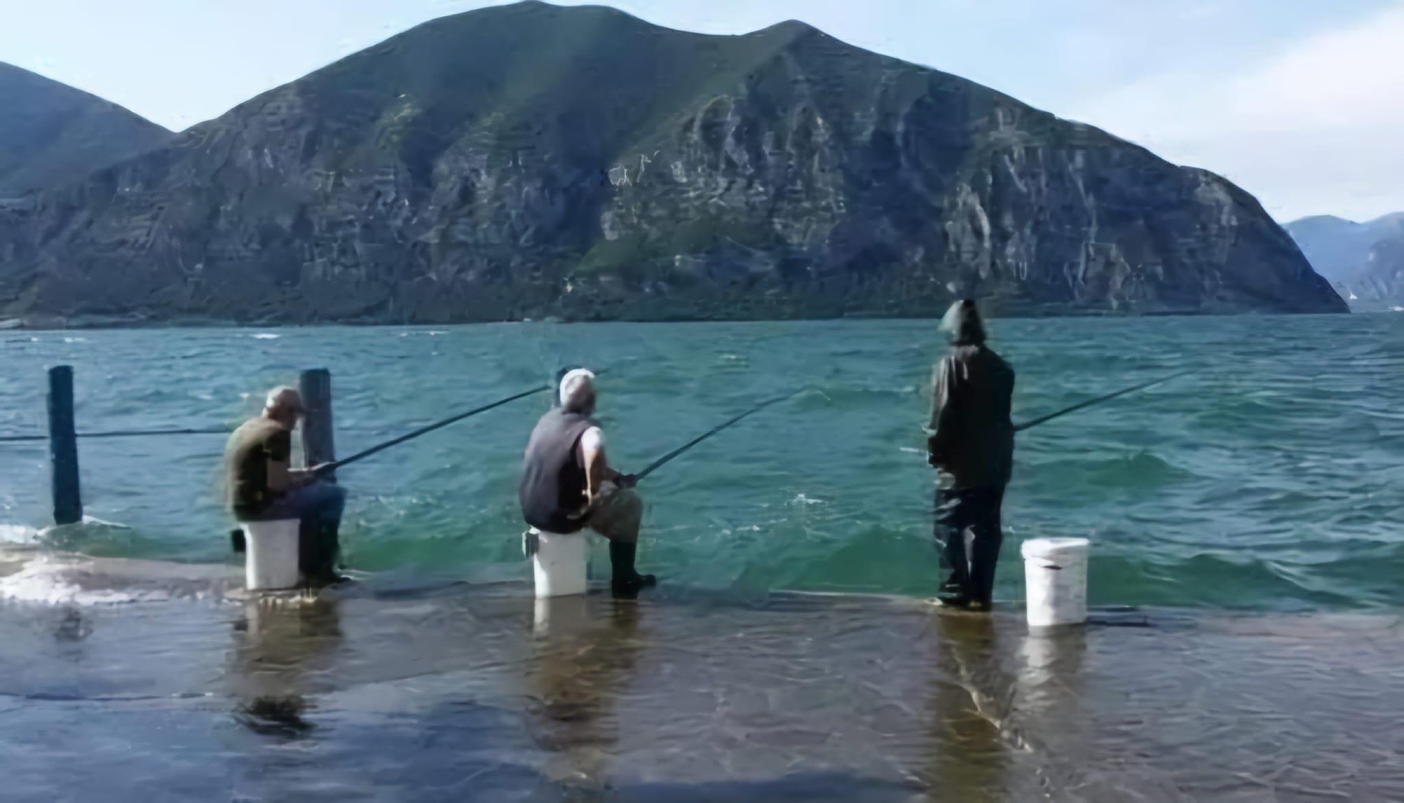 Pesca all’agone nel lago d’Iseo, la preoccupazione: “Le sardine sono pochissime, troppi pesci siluro e cormorani” Pesca all’agone nel lago d’Iseo, la preoccupazione: “Le sardine sono pochissime, troppi pesci siluro e cormorani”