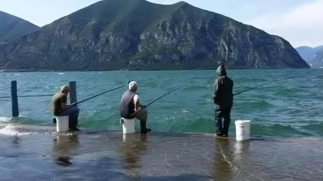 Pesca alla sardina a iseo Pesca alla sardina a iseo