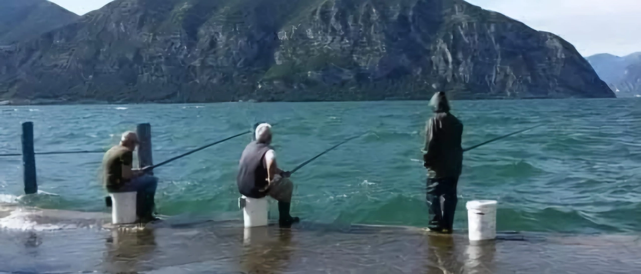 Pesca all’agone nel lago d’Iseo, la preoccupazione: “Le sardine sono pochissime, troppi pesci siluro e cormorani”