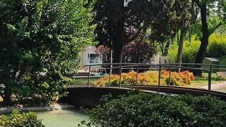Busto sta diventando un’oasi verde Busto sta diventando un’oasi verde