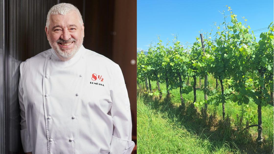 Lo chef Bombana dal ristorante di Hong Kong ai vigneti della Valcamonica: i terreni abbandonati rinascono grazie al “suo” Nebbiolo