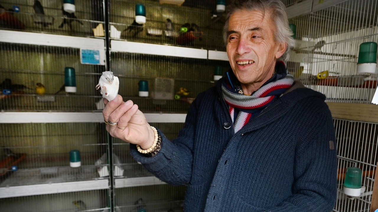 L’allevatore ha partecipato alla gara in Portogallo L’allevatore ha partecipato alla gara in Portogallo