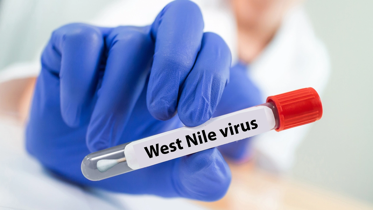 Primo morto di West Nile in Lombardia: attualmenti i malati sono una dozzina Primo morto di West Nile in Lombardia: attualmenti i malati sono una dozzina