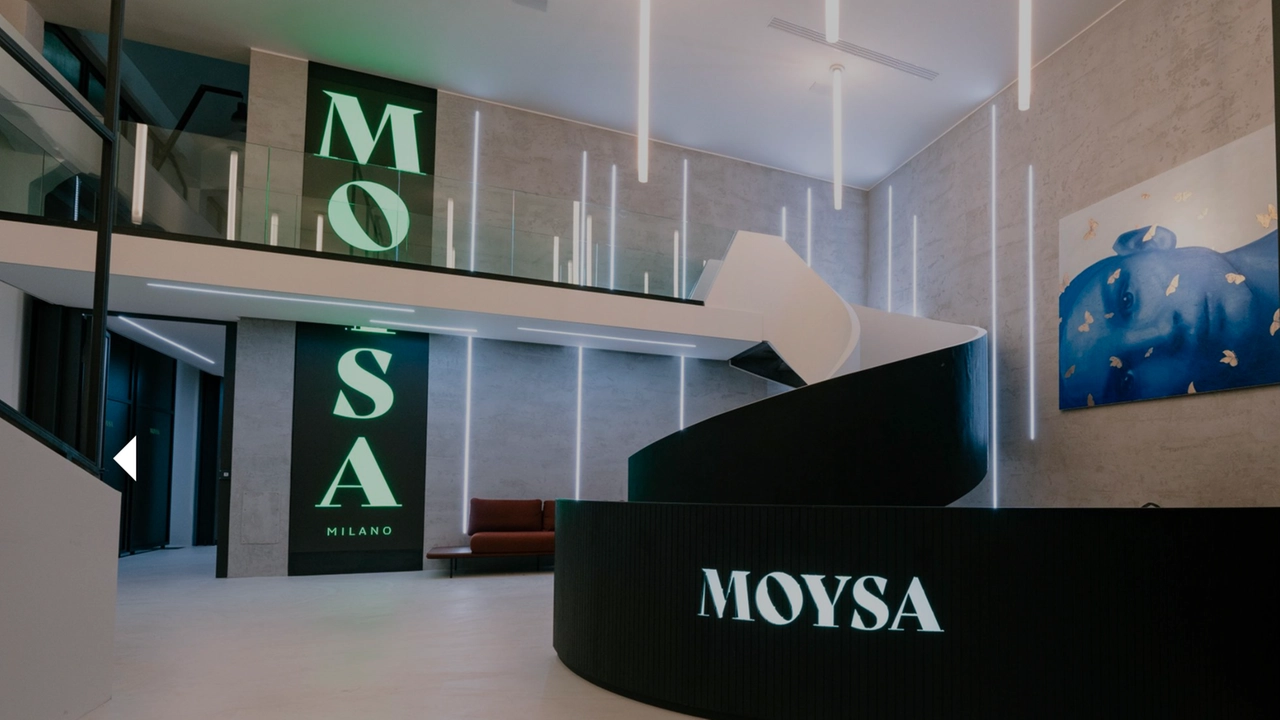 Moysa