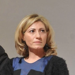 Stefania Consenti, Giornalista