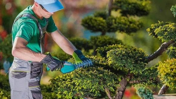 Il verde protagonista della rigenerazione urbana A scuola di sostenibilità: vai agli incontri con gli esperti