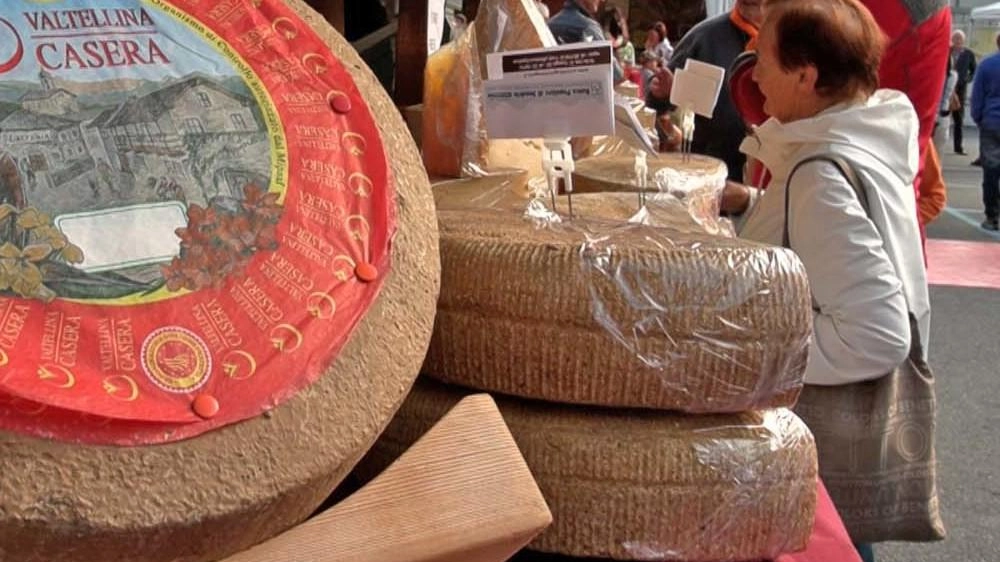 La 117^ Mostra del Bitto a Morbegno si rinnova con proposte e contenuti inediti, mantenendo la tradizione enogastronomica. Laboratori del gusto e novità attirano i visitatori, confermando il successo della manifestazione. Evento da non perdere il 19 e 20 ottobre. La 117^ Mostra del Bitto a Morbegno si rinnova con proposte e contenuti inediti, mantenendo la tradizione enogastronomica. Laboratori del gusto e novità attirano i visitatori, confermando il successo della manifestazione. Evento da non perdere il 19 e 20 ottobre.