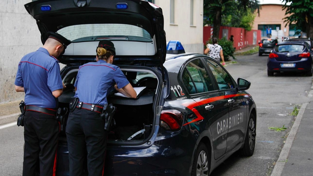 Identificato dai carabinieri della Compagnia di Rho,. l’uomo è stato arrestato dai carabinieri della stazione di Pandino (Cremona) Identificato dai carabinieri della Compagnia di Rho,. l’uomo è stato arrestato dai carabinieri della stazione di Pandino (Cremona)