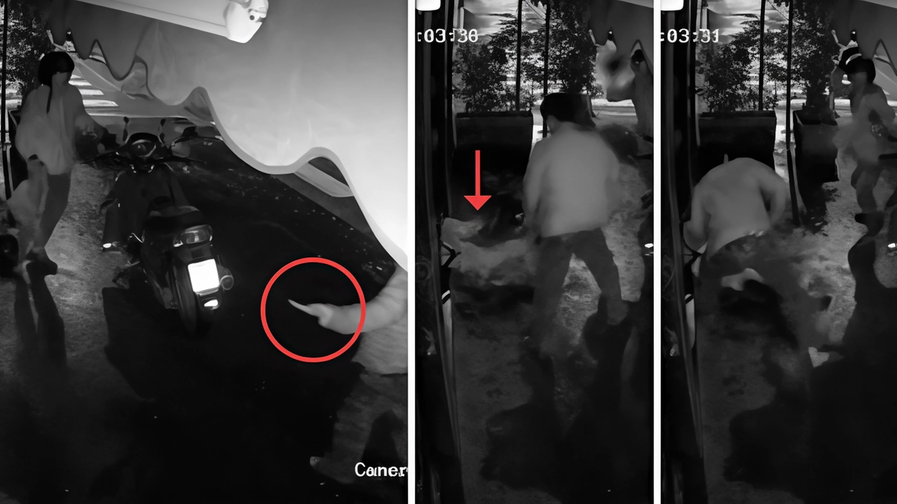 Resta l’aggravante, al reato di omicidio volontario, "dell’aver agito con sevizie e crudeltà". Si aprirà il 22 ottobre, con i...