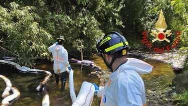 È stata quantificata in almeno 5000 litri la dispersione di sostanze oleose avvenuta ieri allo stabilimento Gabel, in via XX...