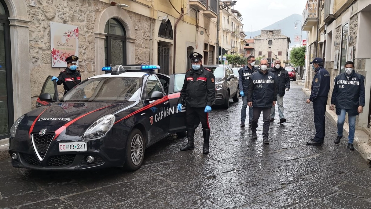 L'operazione dei carabinieri (foto di repertorio) L'operazione dei carabinieri (foto di repertorio)