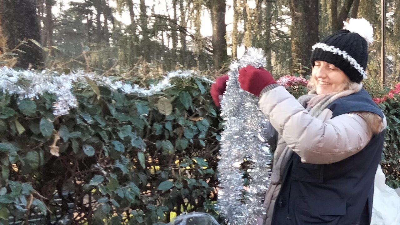 La "Siepe di Natale" nel Parco Renzo Rivolta di Bresso accoglie le decorazioni natalizie dei residenti e dei bambini per la settima edizione, organizzata dall'associazione locale "Mi Prendo Cura di Bresso". Due settori di siepe saranno decorati, con eventi dedicati ai bambini e invito agli scolari a partecipare. La "Siepe di Natale" nel Parco Renzo Rivolta di Bresso accoglie le decorazioni natalizie dei residenti e dei bambini per la settima edizione, organizzata dall'associazione locale "Mi Prendo Cura di Bresso". Due settori di siepe saranno decorati, con eventi dedicati ai bambini e invito agli scolari a partecipare.