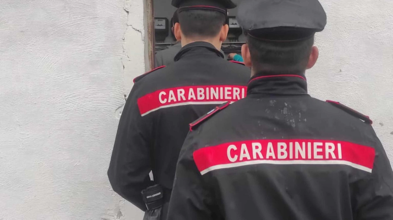Inchiesta della Dda di Milano.Colpiti Sdi, Serpico, Inps e altri Inchiesta della Dda di Milano.Colpiti Sdi, Serpico, Inps e altri