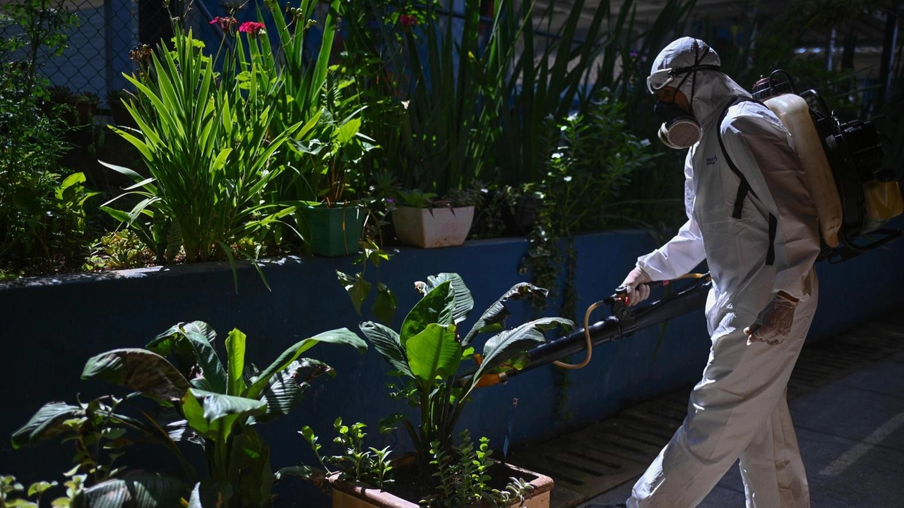 A Brescia intervento di disinfestazione al Quartiere Primo Maggio per un caso di febbre da Dengue. Misura preventiva per contenere zanzare vettori del virus. A Brescia intervento di disinfestazione al Quartiere Primo Maggio per un caso di febbre da Dengue. Misura preventiva per contenere zanzare vettori del virus.