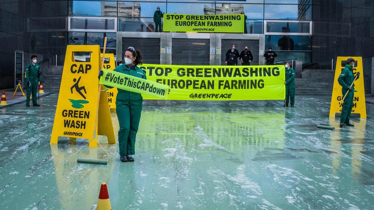 Proposta sulle dichiarazione ambientali attaccata da Ppe e Ecr
