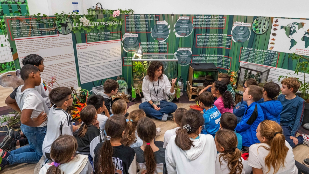 Il viaggio nella mostra 'Dentro le Foreste Stem Lab' con una classe di San Siro Il viaggio nella mostra 'Dentro le Foreste Stem Lab' con una classe di San Siro