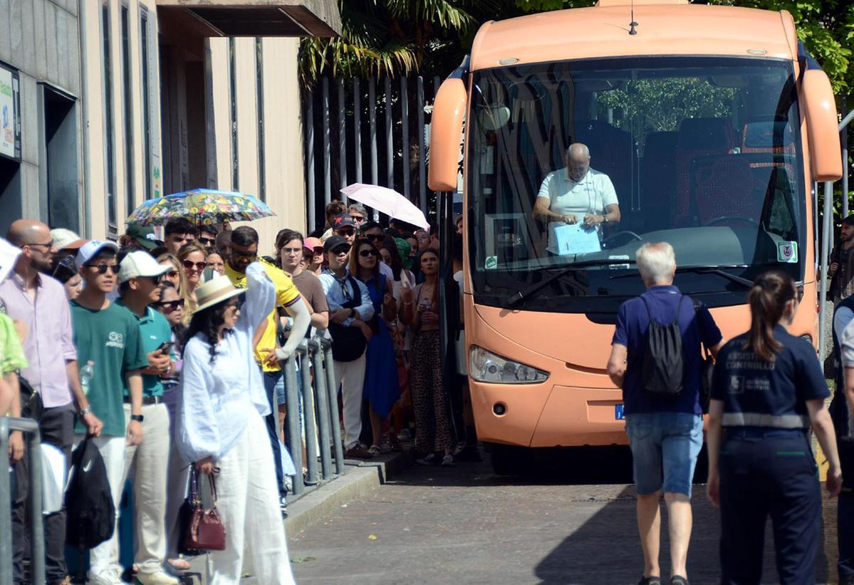 cani sui bus sostitutivi il trasporto 232 una lotteria