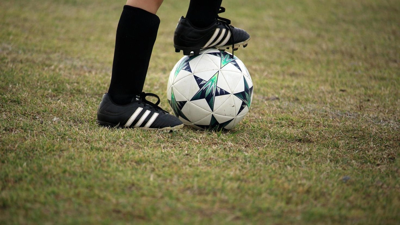 Un pallone da calcio Un pallone da calcio