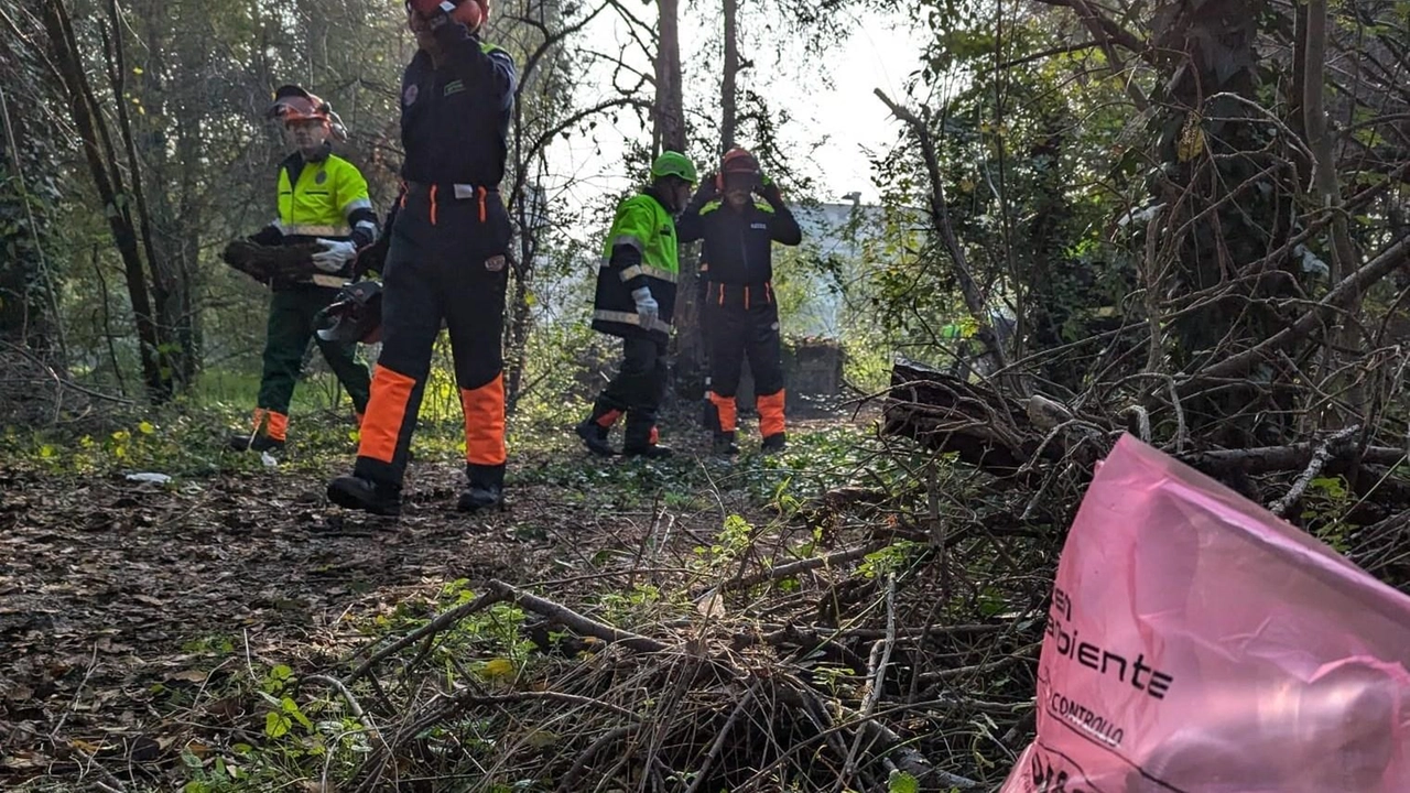 Protezione civile: 50 Tute gialle ripuliscono il Bosco del Fontanone a Cernusco. Operazione di sicurezza coinvolge volontari da tutta l'area metropolitana. Sentieri riaperti dopo due giorni di lavoro. Protezione civile: 50 Tute gialle ripuliscono il Bosco del Fontanone a Cernusco. Operazione di sicurezza coinvolge volontari da tutta l'area metropolitana. Sentieri riaperti dopo due giorni di lavoro.