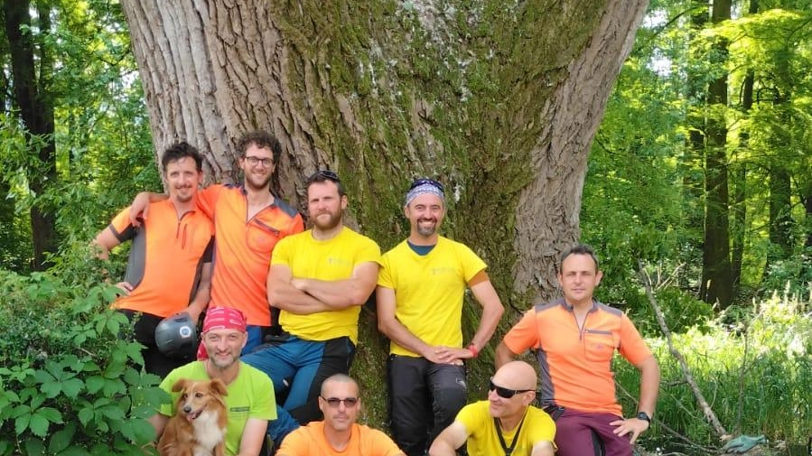 Squadra a 40 metri d’altezza. L’olmo secolare è da potare