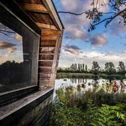 Wwf, Primavera delle Oasi 2025 in Lombardia: 9 eventi nella natura