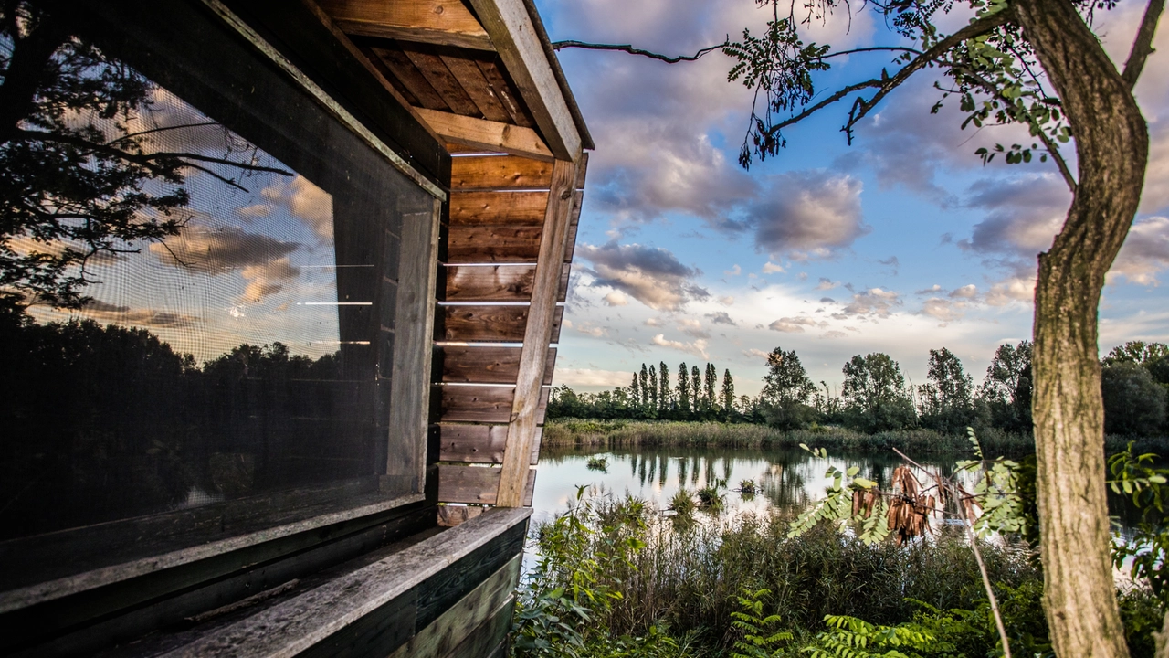 Wwf, Primavera delle Oasi 2025 in Lombardia: 9 eventi nella natura