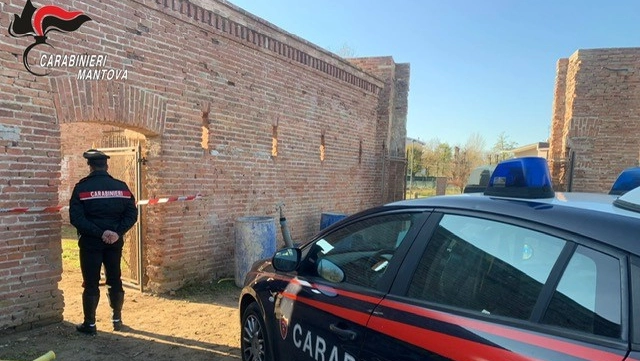 L'operazione è stata condotta dai carabinieri