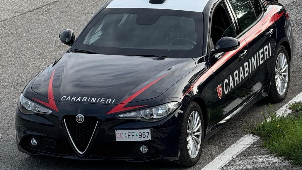 voghera furto al panificio rubato il registratore di cassa ma conteneva solo monete da Ilgiorno.it voghera furto al panificio rubato il registratore di cassa ma conteneva solo monete