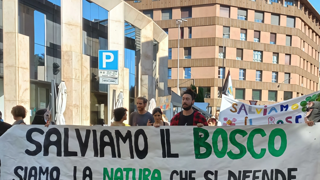 Uno dei grandi striscioni del Comitato per salvare il bosco esposti al corteo Uno dei grandi striscioni del Comitato per salvare il bosco esposti al corteo