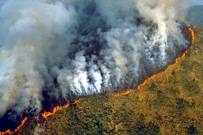 Foresta amazzonica (Dire)