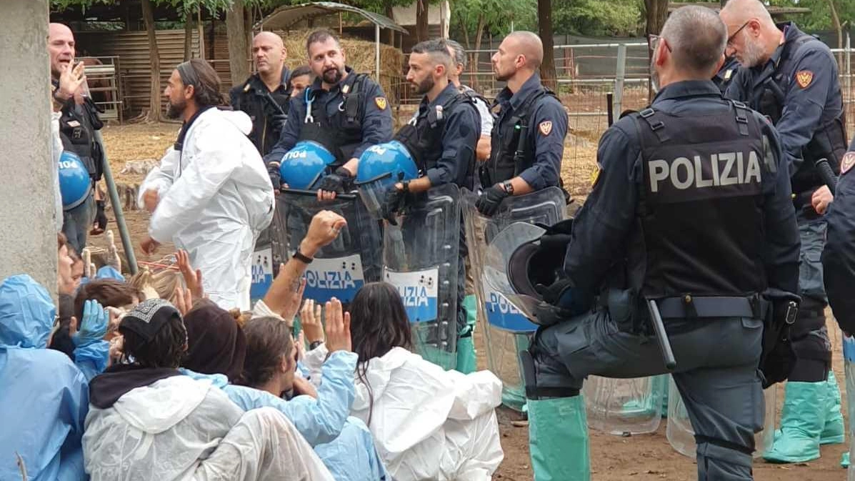 L’intervento delle forze dell’ordine all’interno della struttura della frazione di Sairano dove era in atto un presidio di animalisti L’intervento delle forze dell’ordine all’interno della struttura della frazione di Sairano dove era in atto un presidio di animalisti