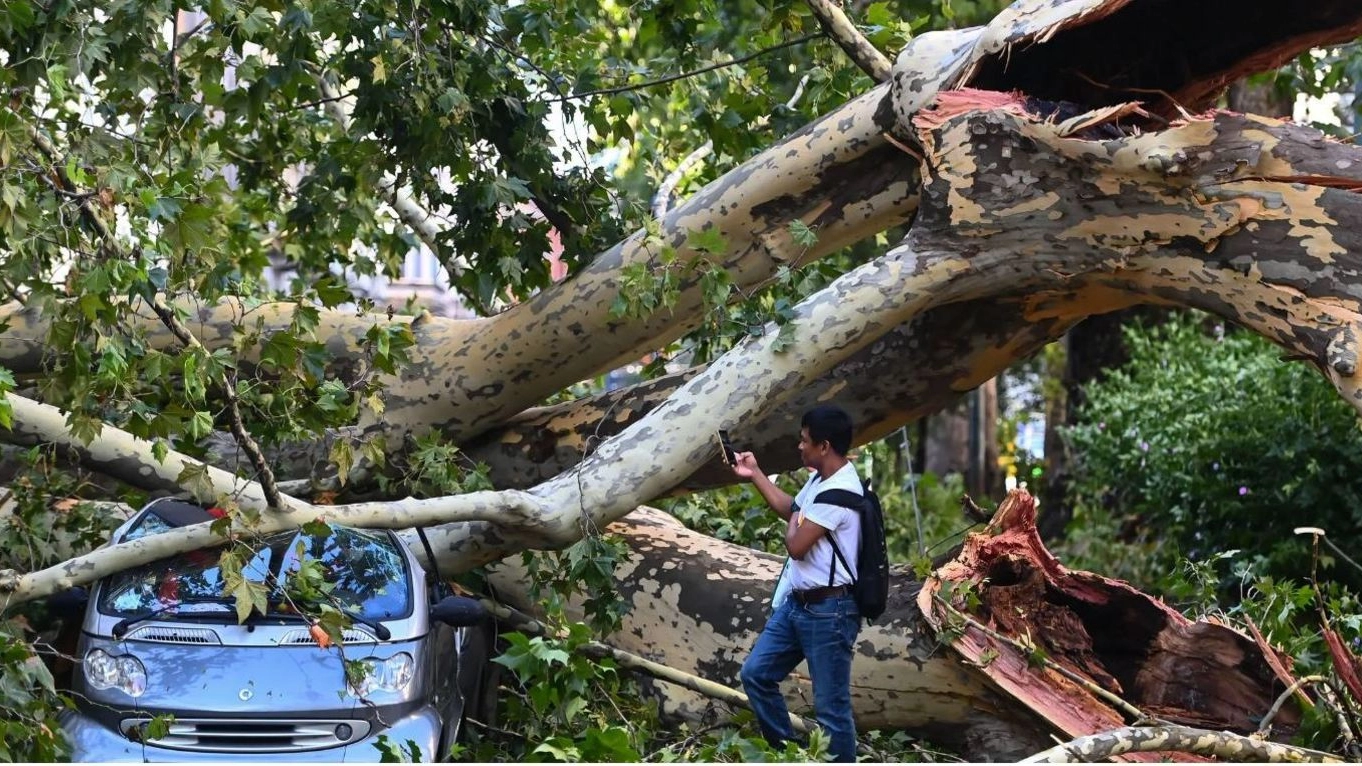 Un'auto distrutta dal crollo di un albero a Milano