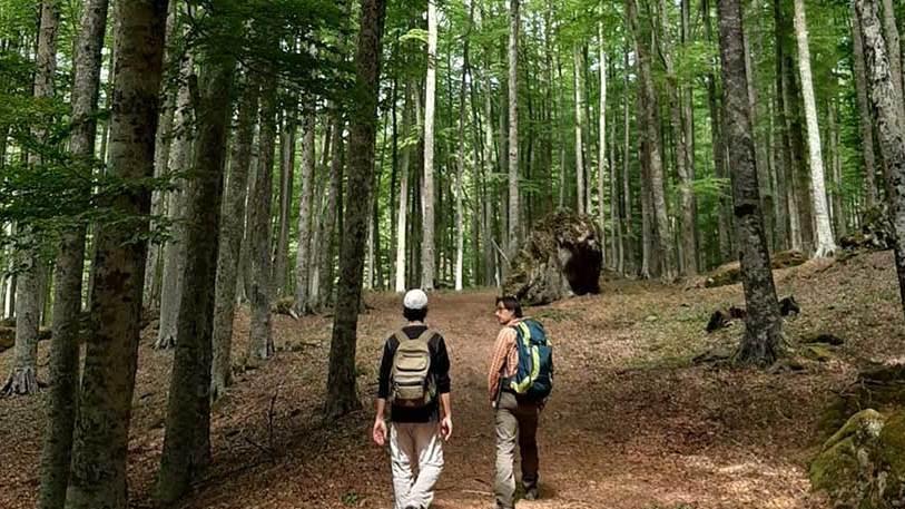 obiettivo biodiversità coltivare la vita sette nuove aree protette
