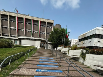 immagine articolo