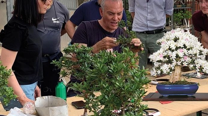 Torna a Parabiago il 14° Satsuki Bonsai Festival, un evento dedicato alla bellezza delle Azalee bonsai, organizzato in collaborazione...
