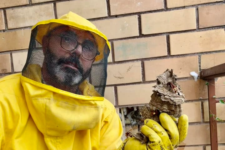 L'etologo Andrea Lunerti bonifica un nido di Vespa orientalis da un balcone di Roma
