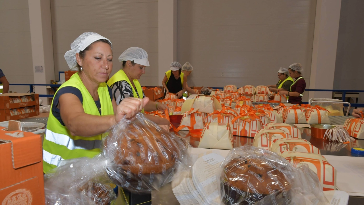 Il contratto stagionale prevede l’assunzione alle dirette dipendenze dell’azienda e abbatte la precarietà Il contratto stagionale prevede l’assunzione alle dirette dipendenze dell’azienda e abbatte la precarietà
