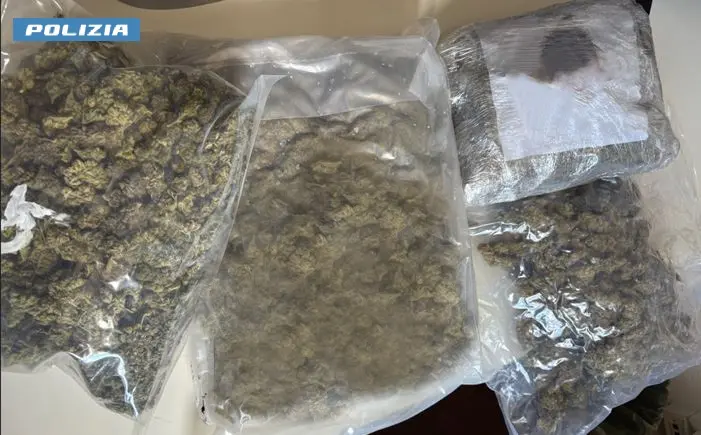Lainate, insospettabile 27enne nasconde tre chili di marijuana in un garage: denunciata