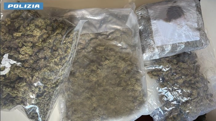 Lainate, insospettabile 27enne nasconde tre chili di marijuana in un garage: denunciata