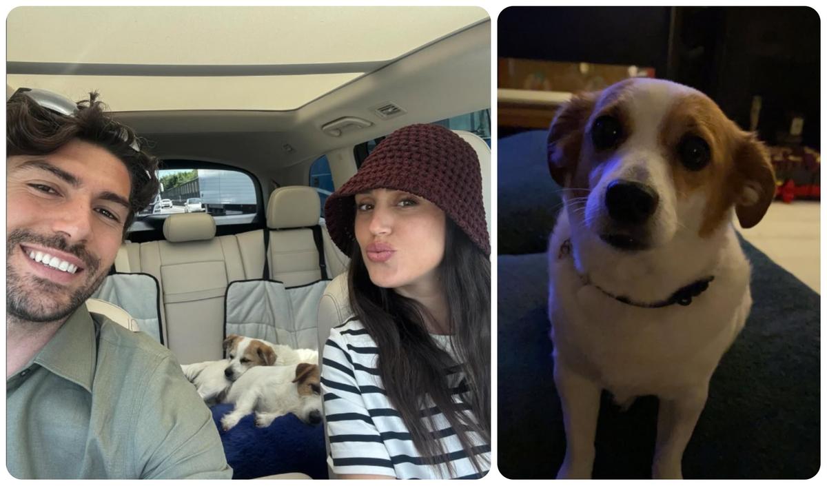 cecilia rodriguez e ignazio moser morta la cagnolina aspirina amorevole e discreta ci mancherai da morire