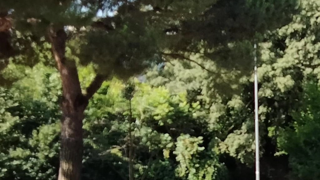 Sarà un parco pubblico polifunzionale, per garantire più spazi sicuri per il gioco all’aperto dei bambini: la riqualificazione Pnrr... Sarà un parco pubblico polifunzionale, per garantire più spazi sicuri per il gioco all’aperto dei bambini: la riqualificazione Pnrr...
