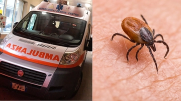 Morto al Gaslini un 13enne bresciano: morso da una zecca nel 2023, poi i problemi di salute questa estate e il ricovero in 4 ospedali. Procura apre inchiesta