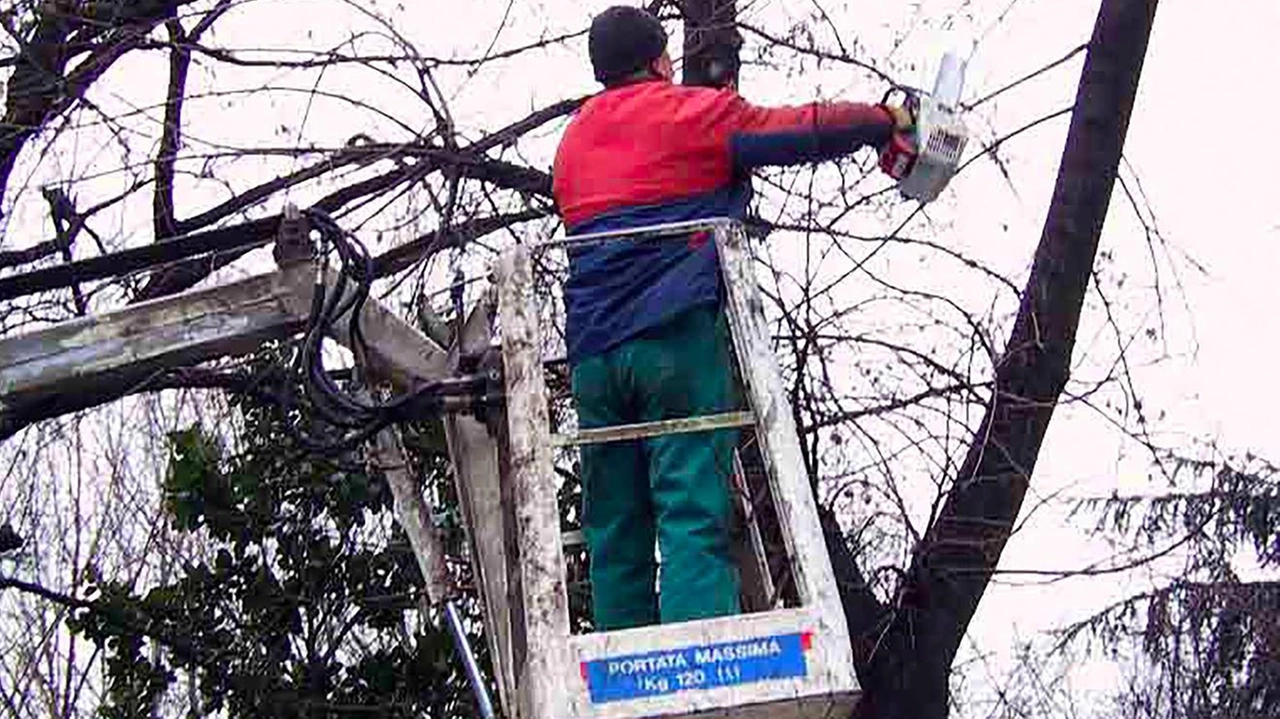 L'amministrazione comunale di Codogno ha avviato la messa in sicurezza del verde pubblico, abbattendo piante pericolose dopo il crollo di un albero durante un temporale. L'intervento interesserà diverse zone della città fino al 30 agosto. L'amministrazione comunale di Codogno ha avviato la messa in sicurezza del verde pubblico, abbattendo piante pericolose dopo il crollo di un albero durante un temporale. L'intervento interesserà diverse zone della città fino al 30 agosto.