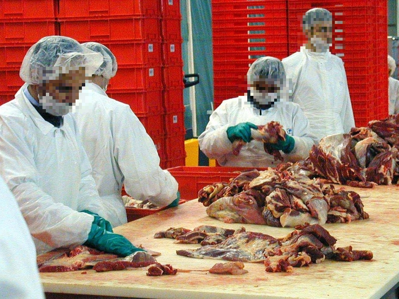 Lavoratori in un macello